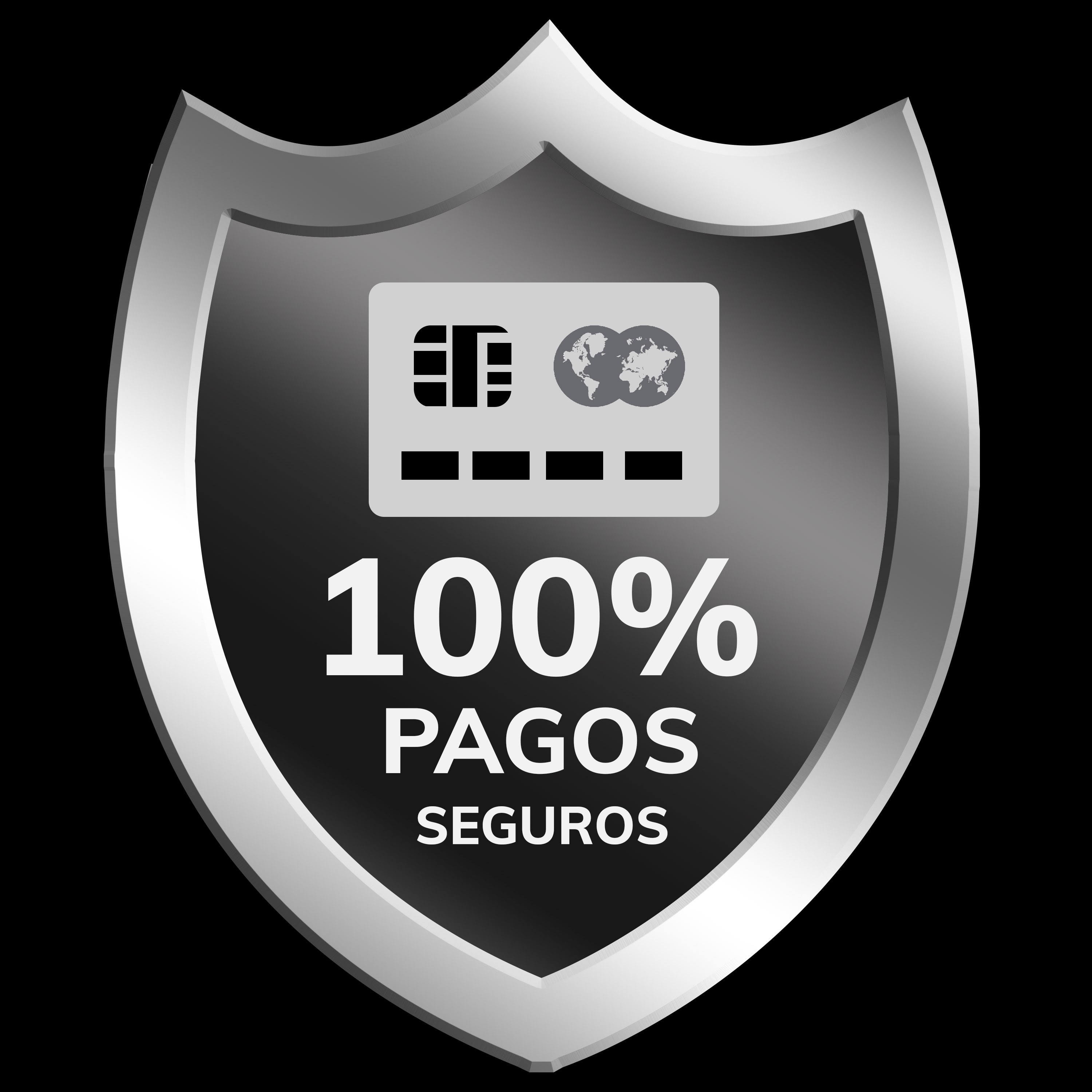 pagos seguros